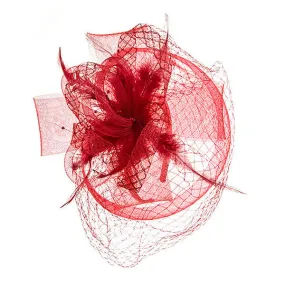 Something Special - Lace Fascinator Hat with Feathers