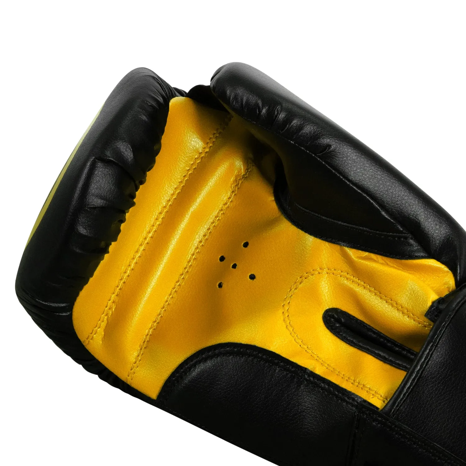 TITLE Classic Speed Boxing Gloves